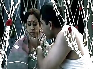 Desi beauty Indrani's hot and steamy affair in a train